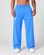 Product Name: Rogue Forge Superman Signature Wide-Leg Sweatpants