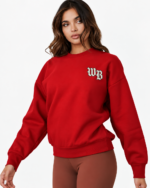 THE WILD BULL — Wild Dusk Oversized Sweatshirt - Image 3