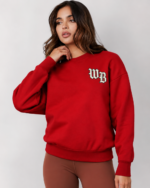 THE WILD BULL — Wild Dusk Oversized Sweatshirt - Image 2